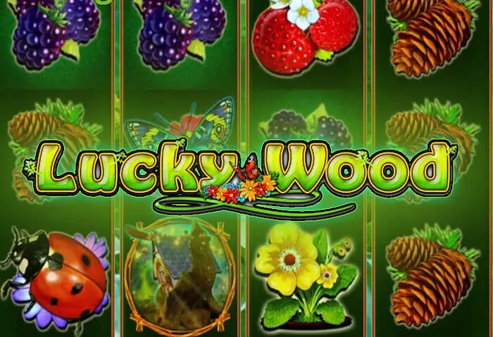 Jetzt Oshicasino App im Download Store herunterladen